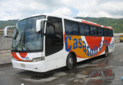 Shuttle from La Ceiba to San Pedro Sula